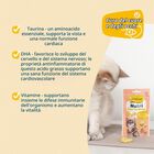 Gimcat Nutri Taurine Bites Snack per gatti Formaggio 40 gr