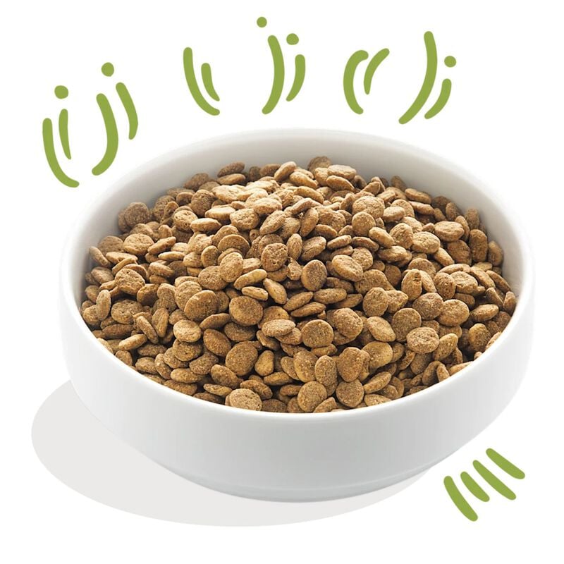 Edgard & Cooper Dog Adult Large Breed Agnello 12 kg