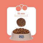 Monopro Dog All breeds Salmone 10 kg