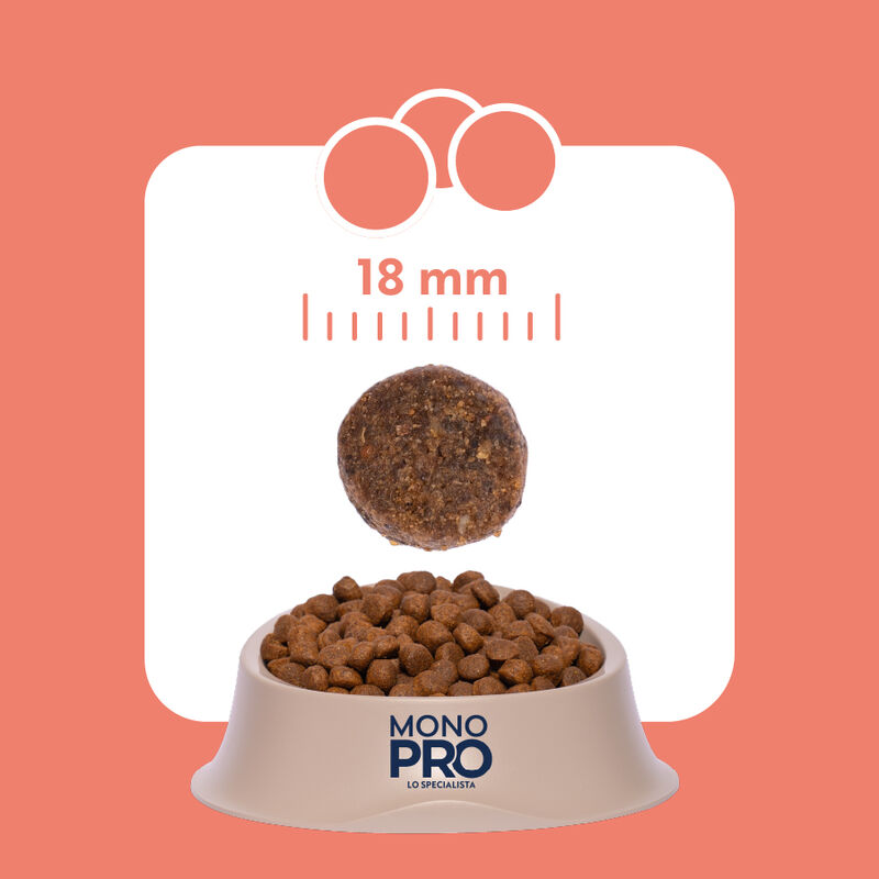 Monopro Dog All breeds Salmone 10 kg