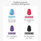 Kong Gioco da mordere per cuccioli S Blu 1 pz