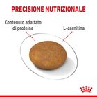 Royal Canin Dog Adult X-Small Light Weight Care 1,5 kg