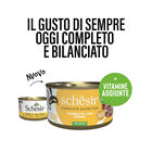 Schesir Cat Adult Tonnetto con surimi jelly 85g