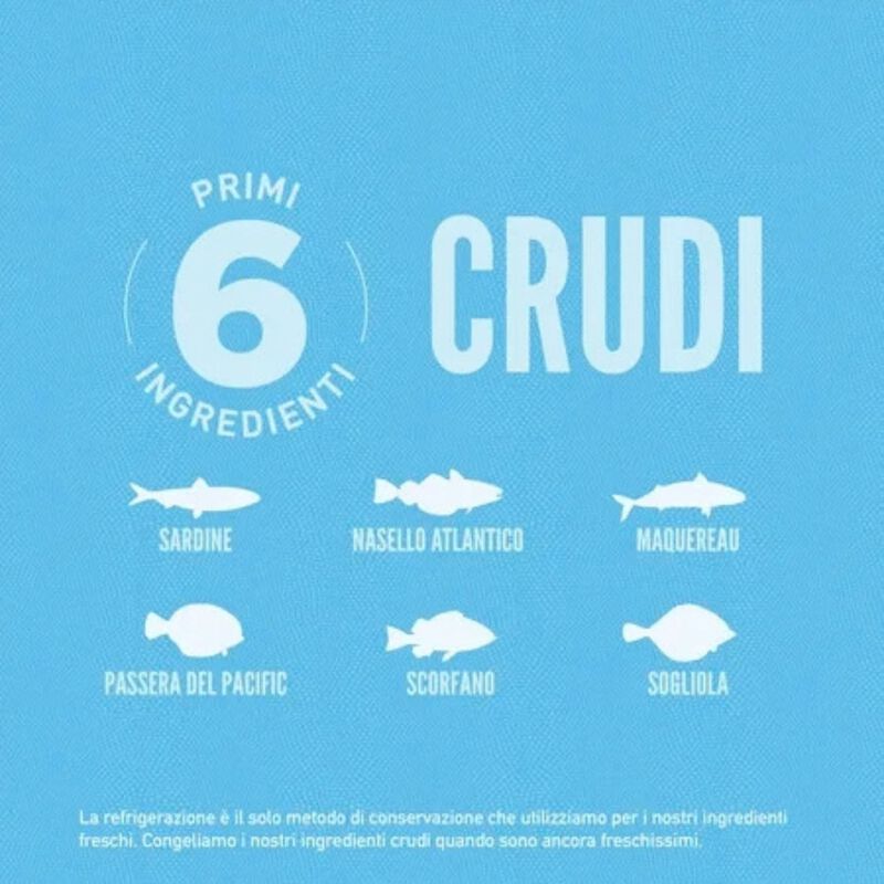 Orijen Gatto Adulto Six Fish 340 gr