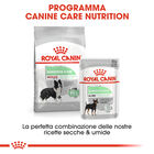 Royal Canin Dog Adult e Senior Medium Digestive Care 3 kg