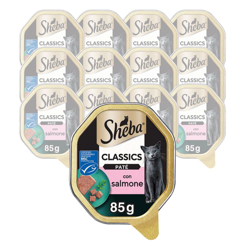 Sheba Cat Pat&egrave; Classics con Salmone 85 gr