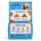 Edgard & Cooper Dog Adult Salmone 7 kg