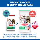 Hill's Sience Plan Kitten al Salmone 1,5 kg