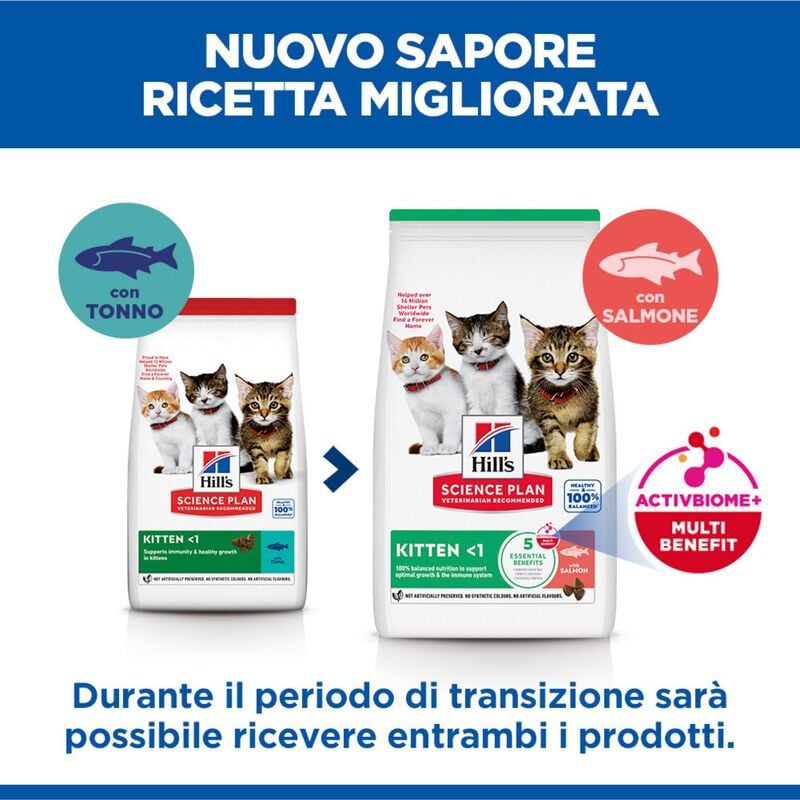 Hill's Sience Plan Kitten al Salmone 1,5 kg