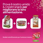 N&D Farmina Quinoa Urinary Cat con Anatra 1,5 kg
