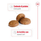 Royal Canin Dog Adult 7+ Medium 15 kg  