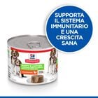 Hill's Science Plan Puppy&Mother Tender Mousse al Pollo 200 gr