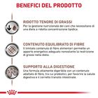 Royal Canin Veterinary Diet Dog Adult Small Gastrointestinal Low Fat 3,5 kg