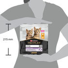 Purina Pro Plan Healthy Start Cat Kitten 1-12 mesi Pollo 400 gr