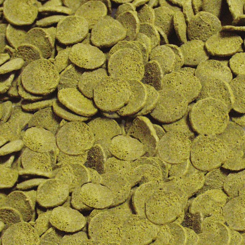 Sera Pleco Chips 100 ml