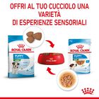 Royal Canin Dog Mini Puppy 85 gr