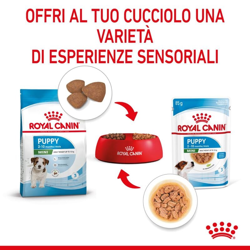 Royal Canin Dog Mini Puppy 85 gr