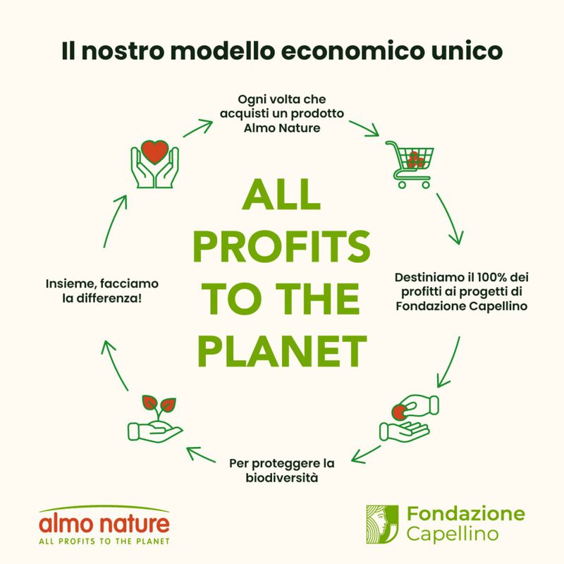 Almo Nature Cat Adult Tacchino 400g