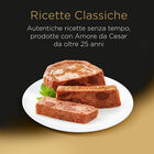 Cesar Dog Adult Selezione in Salsa 24x100 gr