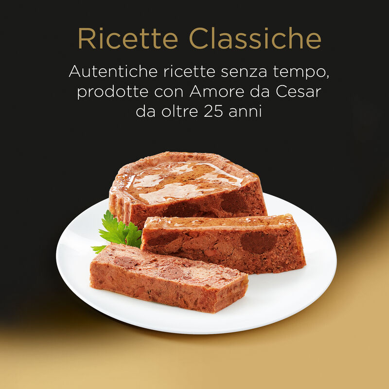 Cesar Dog Adult Selezione in Salsa 24x100 gr