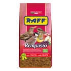 Raff Realpasto 1 Kg image number 0