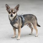 Trixie Premium Pettorina ad H Color Vinaccia Tg XS-S