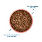 Wow Dog Adult Mini Manzo con mela e barbabietola 1kg