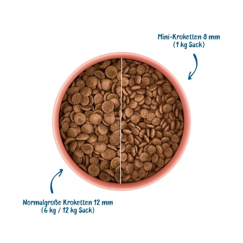 Wow Dog Adult Mini Manzo con mela e barbabietola 1kg