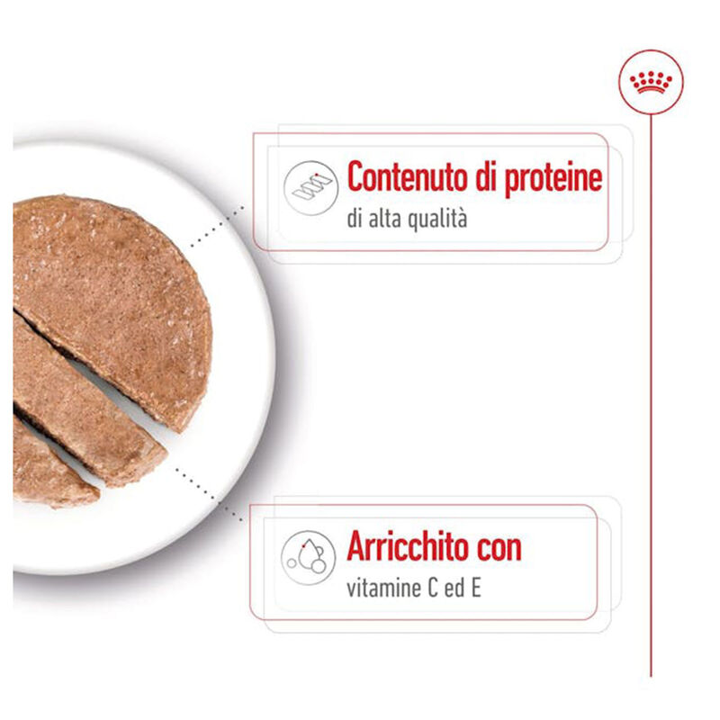 Royal Canin Dog Medium Adult 410 gr
