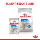 Royal Canin Dog Adult e Senior Mini light weight care 3 kg