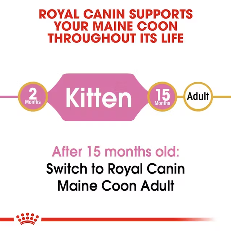 Royal Canin Cat Kitten Maine Coon 400 gr