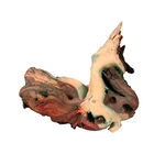 Zolux Radice Mopani S image number 0
