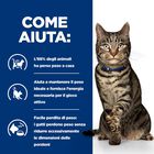 Hill's Prescription Diet Cat Metabolic Weight & Diabetes Management con Pollo 8 kg
