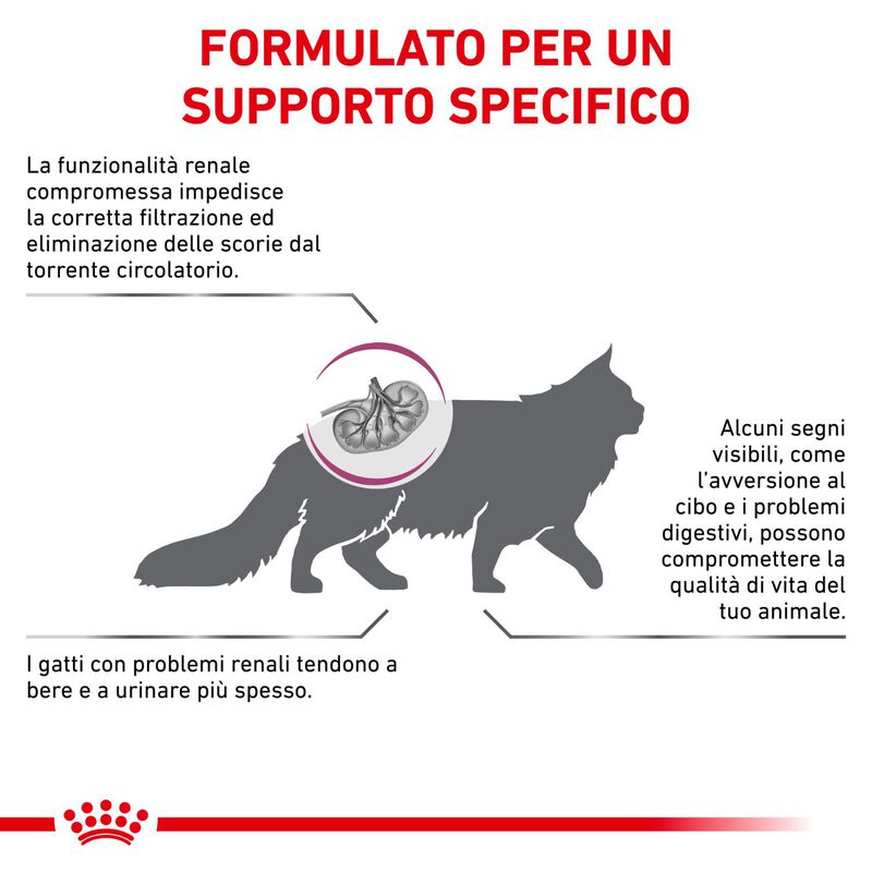 Royal Canin Veterinary Diet Cat Renal Special 2 kg