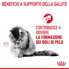 Royal Canin Cat Adult Hairball Care Gravy 85 gr