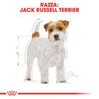 Royal Canin Dog Adult e Senior Jack Russell 1,5 kg