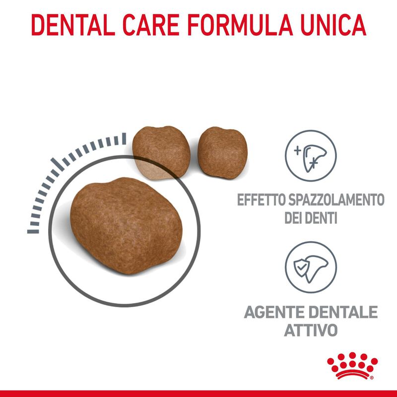 Royal Canin Cat Adult Dental Care 400 gr