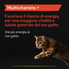 Purina Pro Plan Supplements Cat Adult Multivitamin 60 gr