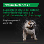 Purina Pro Plan Supplements Dog Adult Natural Defences 135 gr