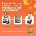 N&D Farmina Pumpkin Dog Puppy Medium & Maxi Agnello e Mirtillo 12 kg