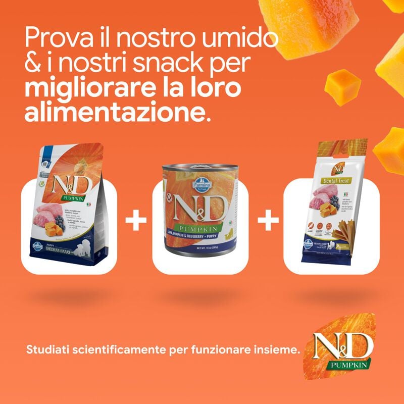 N&D Farmina Pumpkin Dog Puppy Medium & Maxi Agnello e Mirtillo 12 kg
