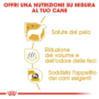 Royal Canin Dog Adult  e Senior Maltese 1,5 kg