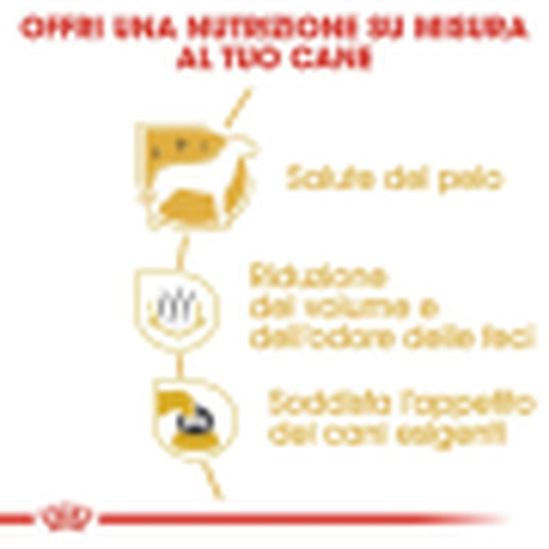 Royal Canin Dog Adult  e Senior Maltese 1,5 kg