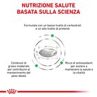 Royal Canin Veterinary Diet Cat Diabetic 400 gr