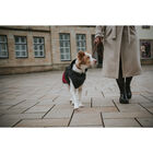 Hunter Impermeabile per cani Uppsala Cozy nero e rosso tg. 30