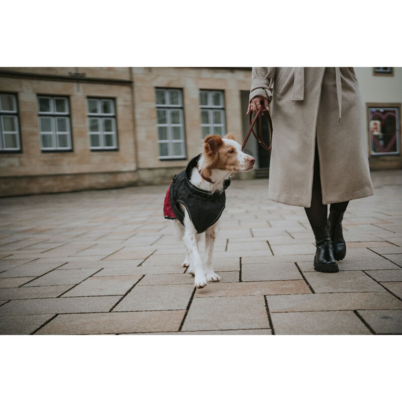 Hunter Impermeabile per cani Uppsala Cozy nero e rosso tg. 30