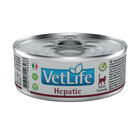 Farmina Vet Life Cat Diet Hepatic 85 Gr image number 0