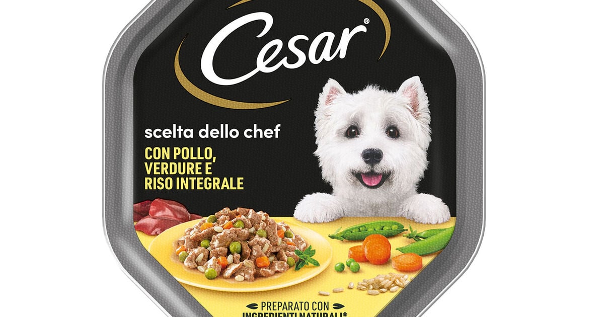 Cesar Scelta Dello Chef: Vaschette Di Pesce Bianco Alla Griglia Con Riso Integrale E Verdure - 14 Pezzi Per Canni