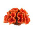 Askoll Decorazione Discosoma arancione 8x6x5 cm