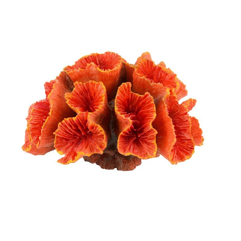 Askoll Decorazione Discosoma arancione 8x6x5 cm